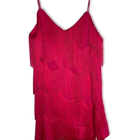 Finders Keepers Hot Pink Fringe Tassel Mini Dress - Picture 8 of 10